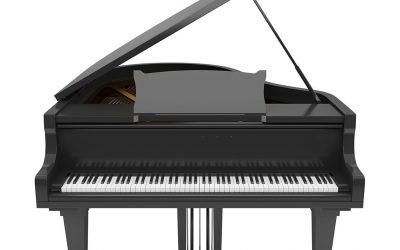 Perks of hiring professional Piano Movers in Auckland for your piano removals.