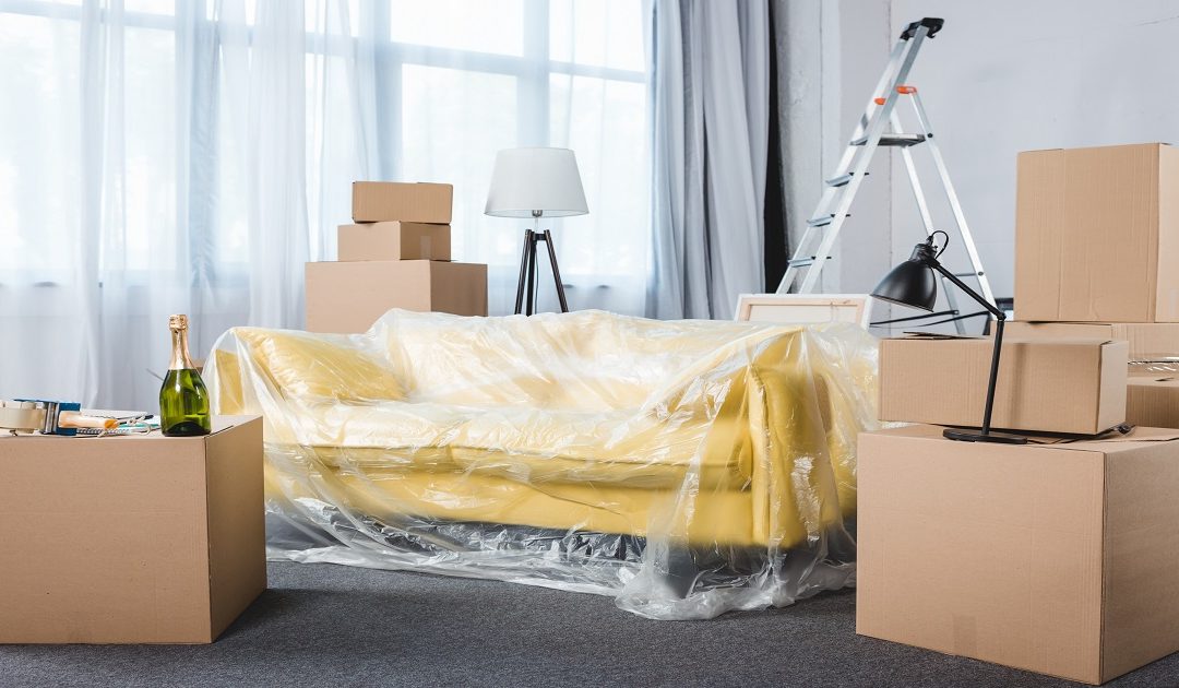 Best Auckland Removals