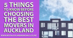 5 Things to Know Before Choosing the Best Movers in Auckland