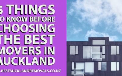 5 Things to Know Before Choosing the Best Movers in Auckland