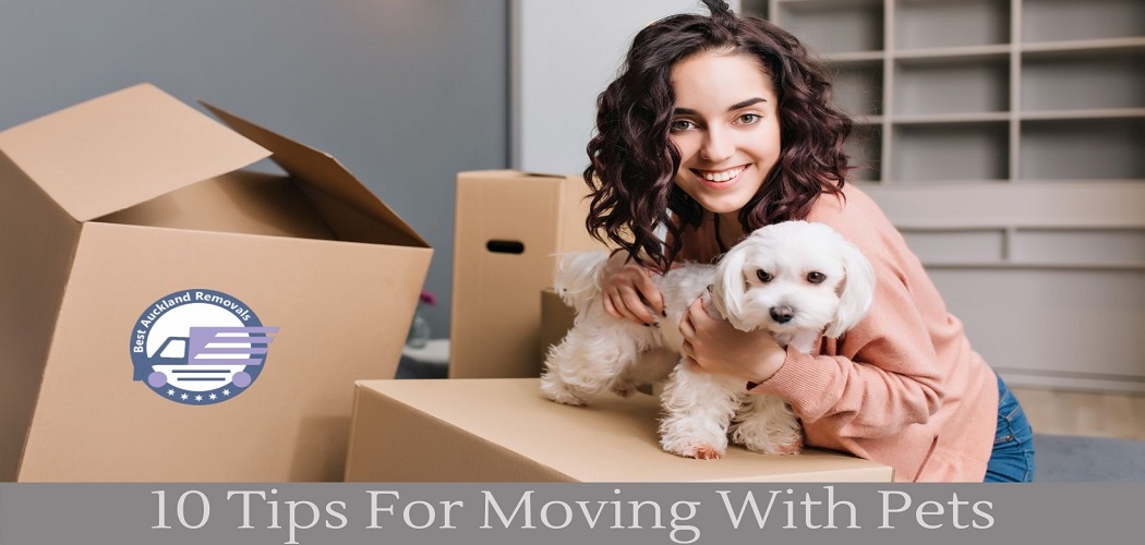 Tips For Moving House With Pets