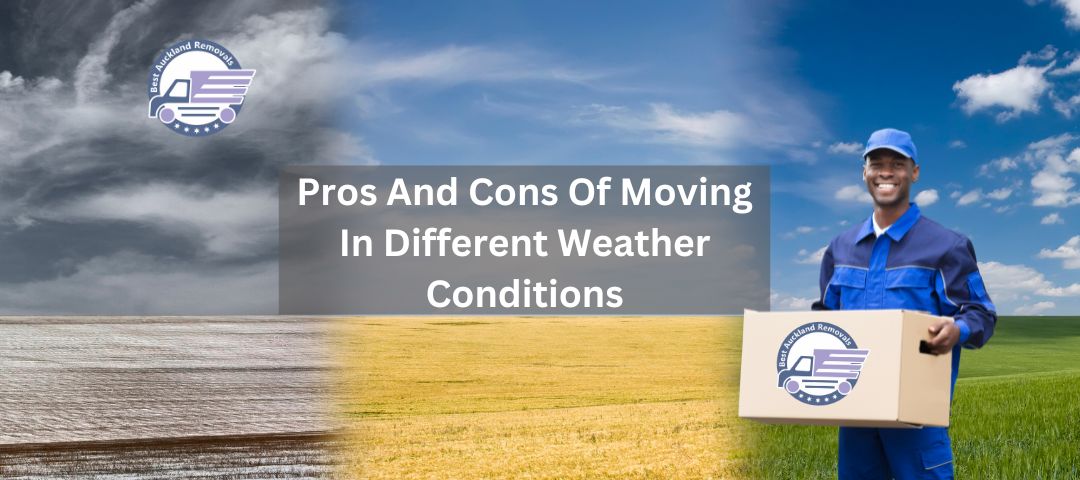 Mastering The Seasons: Pros and Cons Of Moving In Different Weather Conditions