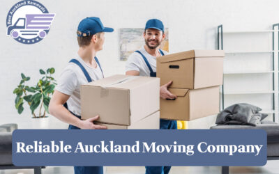 What to Look for in a Reliable Auckland Moving Company