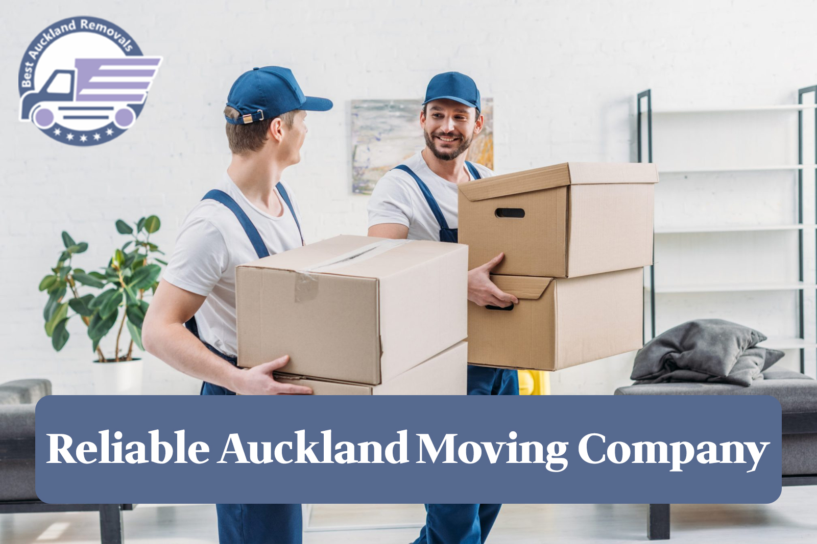 What to Look for in a Reliable Auckland Moving Company