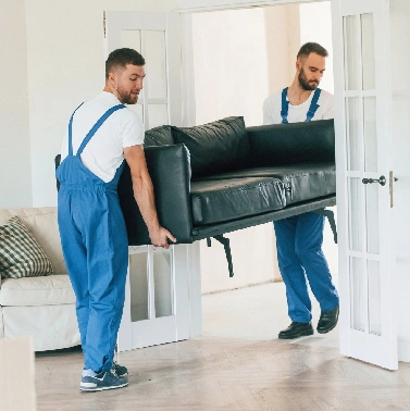 Furniture Removals Auckland