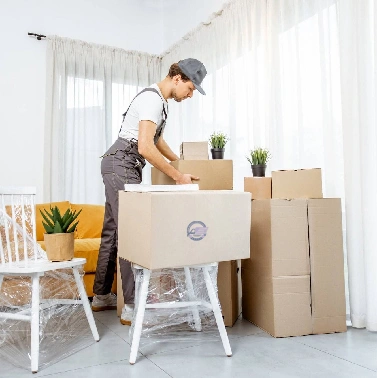 House Removals Auckland