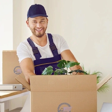 Office Removals Auckland