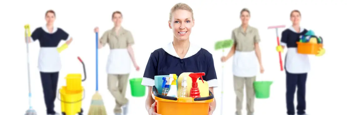 Cleaning Services In Botany Downs