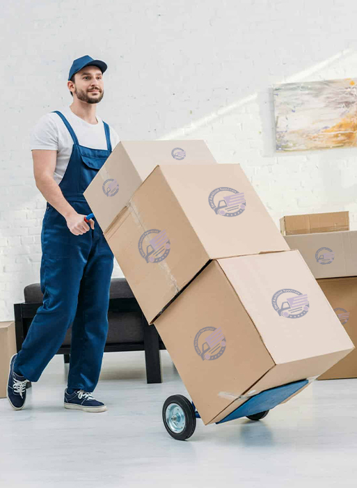 Auckland Movers and Packers Best Moving Company Auckland